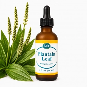 Plantain, Fluid Extract